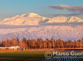 PROVINCIA DE MENDOZA, ARGENTINA (PHOTO © MARCO GUOLI - ALL RIGHTS RESERVED)