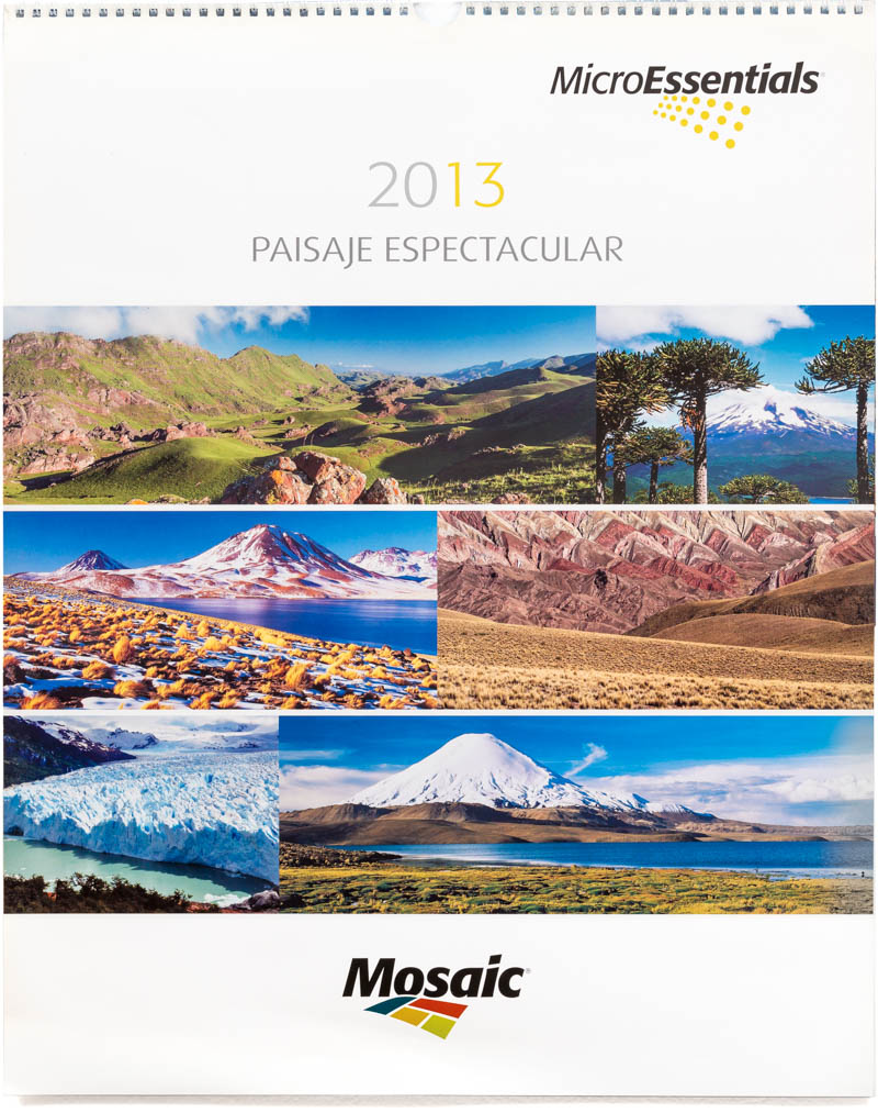 Tapa del Calendario corporativo de pared Mosaic 2013 con fotografías en alta resolución del Banco de imágenes de Marco Guoli