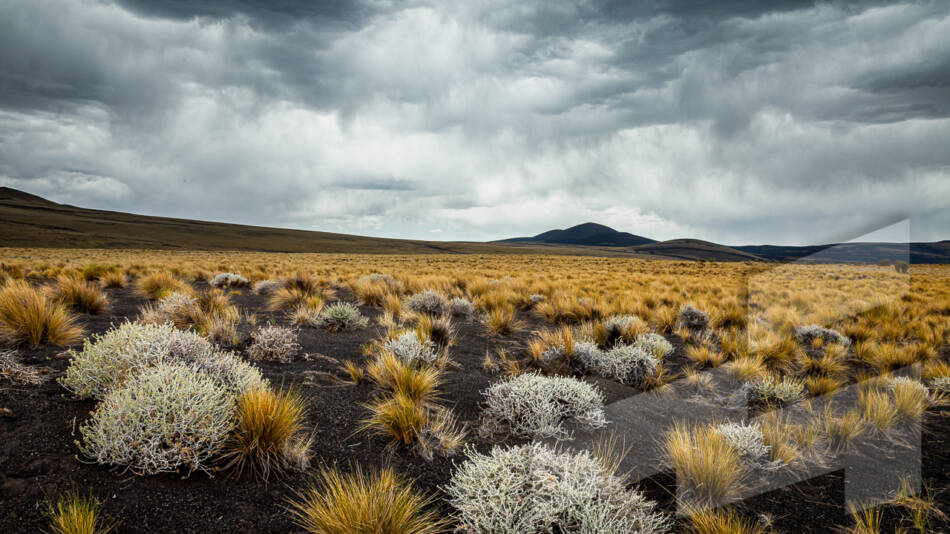 Foto de paisaje argentino en la provincia de Mendoza